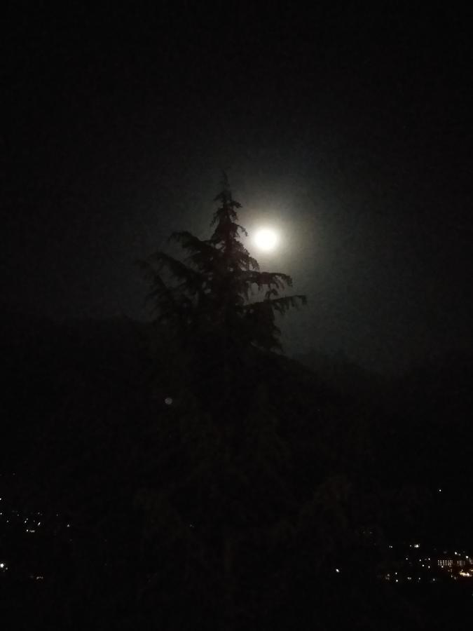 Hotel Seven Hills Manali Exterior photo
